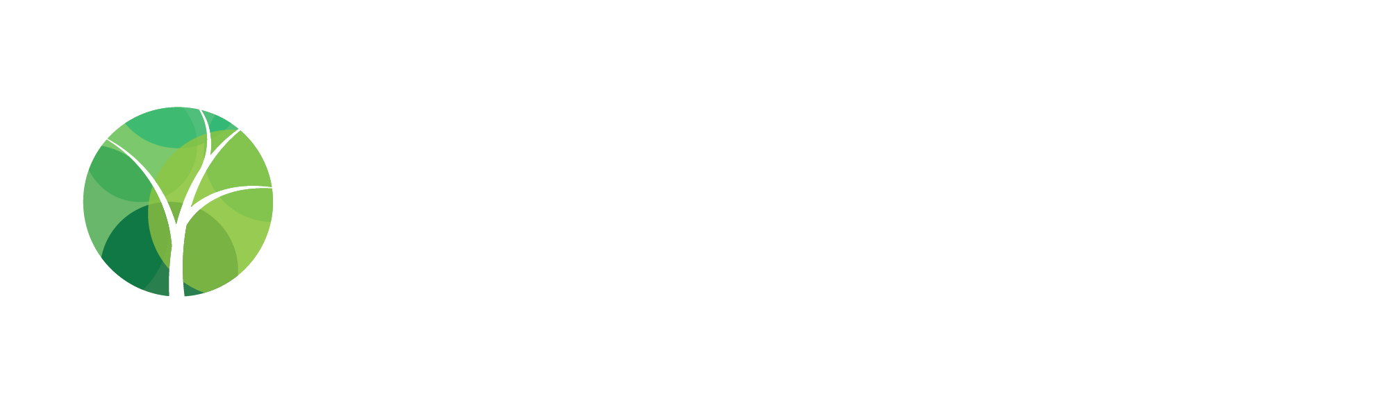 Zivora Marketing